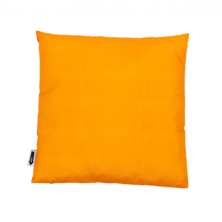 Blink 17.734 Square double-sided Pillow