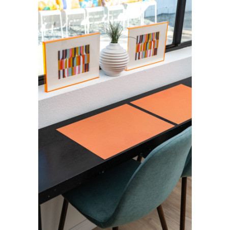 Starburst double-sided Woven Placemat-set of 4