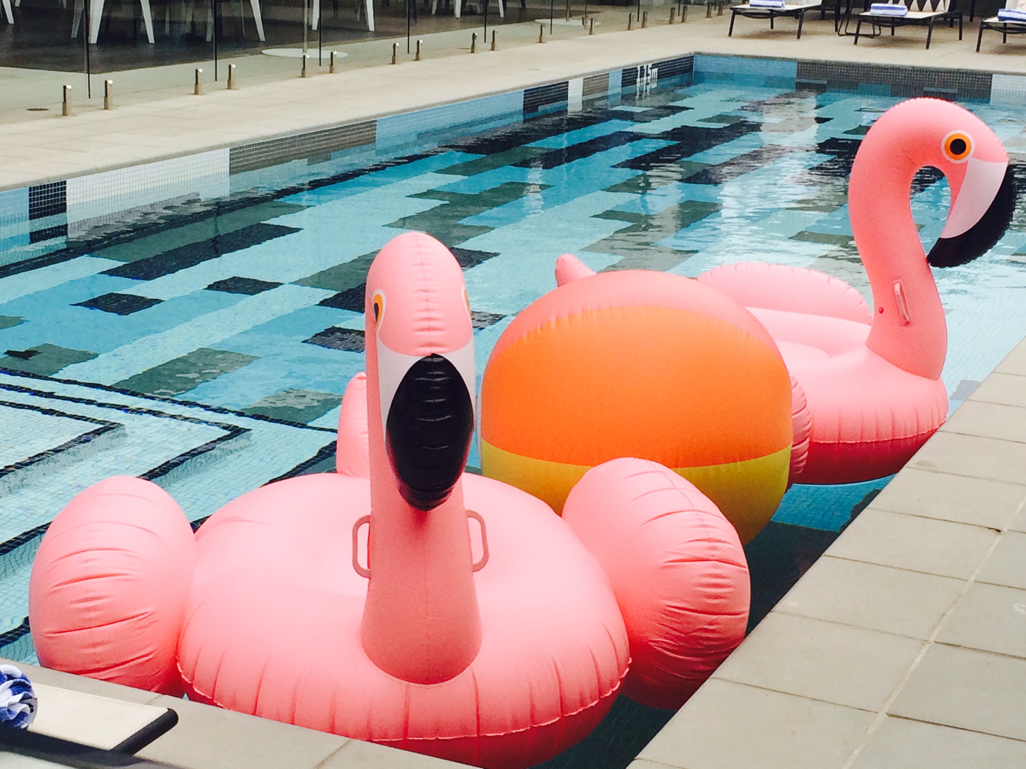 flamingo pool floaties