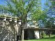 The facade of the Carpenter Center for the Visual Arts, seen behind a tree.