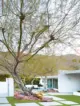 concrete pavers in Palm Springs backyard