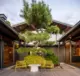 outdoor seating area with pine tree and yellow chairs