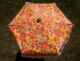 new fall collection umbrella from Hazy Sunshine