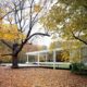 exterior view of the Farnsworth house in Illinois surrounded by fall leaves